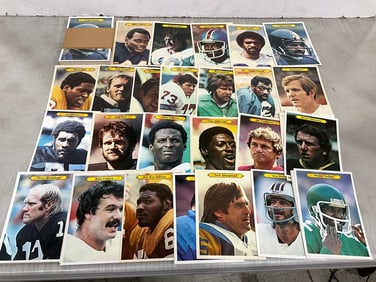 Various Topps Football 1980 Picture Cards *complete set*