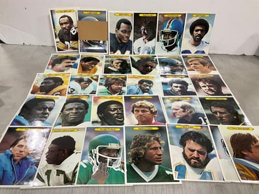 Various Topps Football 1980 Picture Cards *complete set*