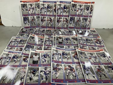1993 NY Giants GameDay cards sheets
