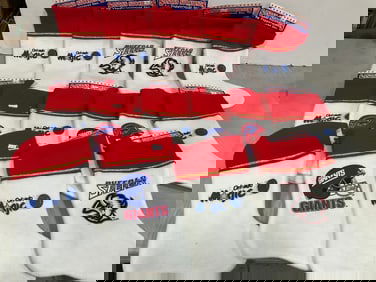 Various sports stockings(Orlando Magic, Buffalo Sabres,etc.-new with tag)