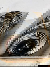 Carousel slide trays with slides inside