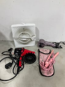Fan and various hair appliances