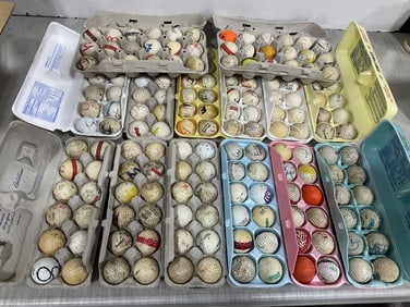 Large Lot of Various Golf Balls