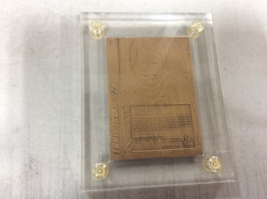 1994 Robert Yates Racing Ernie Irvan Collectible Card *encased*