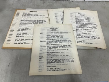 Discarded Lovers filmmaker manuscripts from estate of Sam Sherman