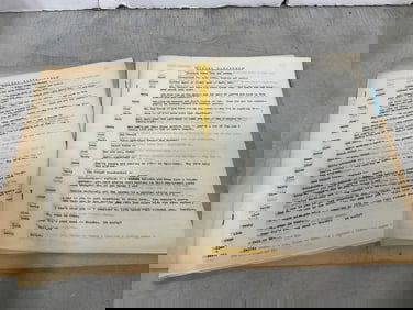 Daring Daughters filmmaker manuscripts from estate of Sam Sherman