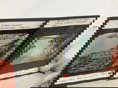 Vintage glass negatives(3.25in.x4in.)