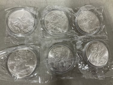 Silver Dollar Replicas (Various Years)