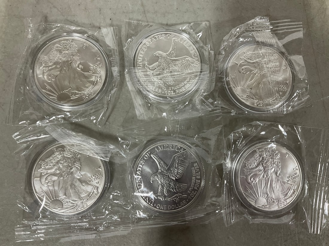 Silver Dollar Replicas (Various Years) (1 of 1)