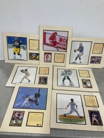 Various Sports Player Biography Collages