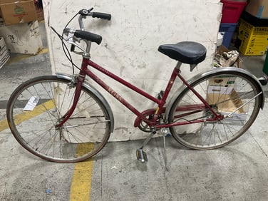 Vintage Ross Compact Bike