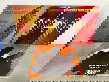 Vintage records(Lynrd Skynyrd and more)