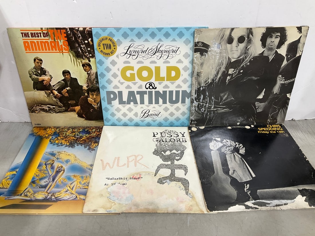 Vintage records(Lynyrd Skynyrd, Pussy Galore, and more): Vintage records(Lynyrd Skynyrd, Pussy Galore, and more)