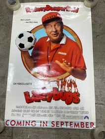 Ladybugs Movie Poster (27inx41in)