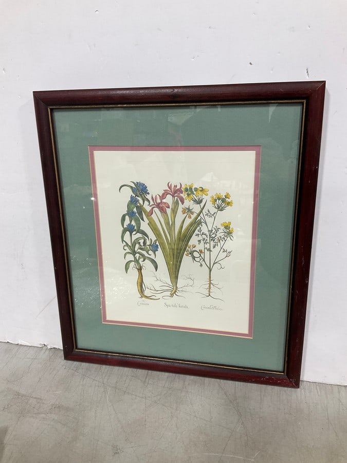 Framed Floral Artwork (12inx15in) (1 of 1)