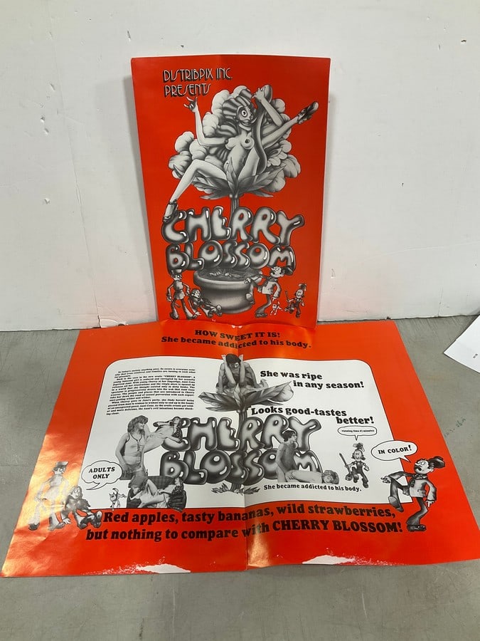 Vintage original XXX movie poster ads: Vintage original XXX movie poster ads