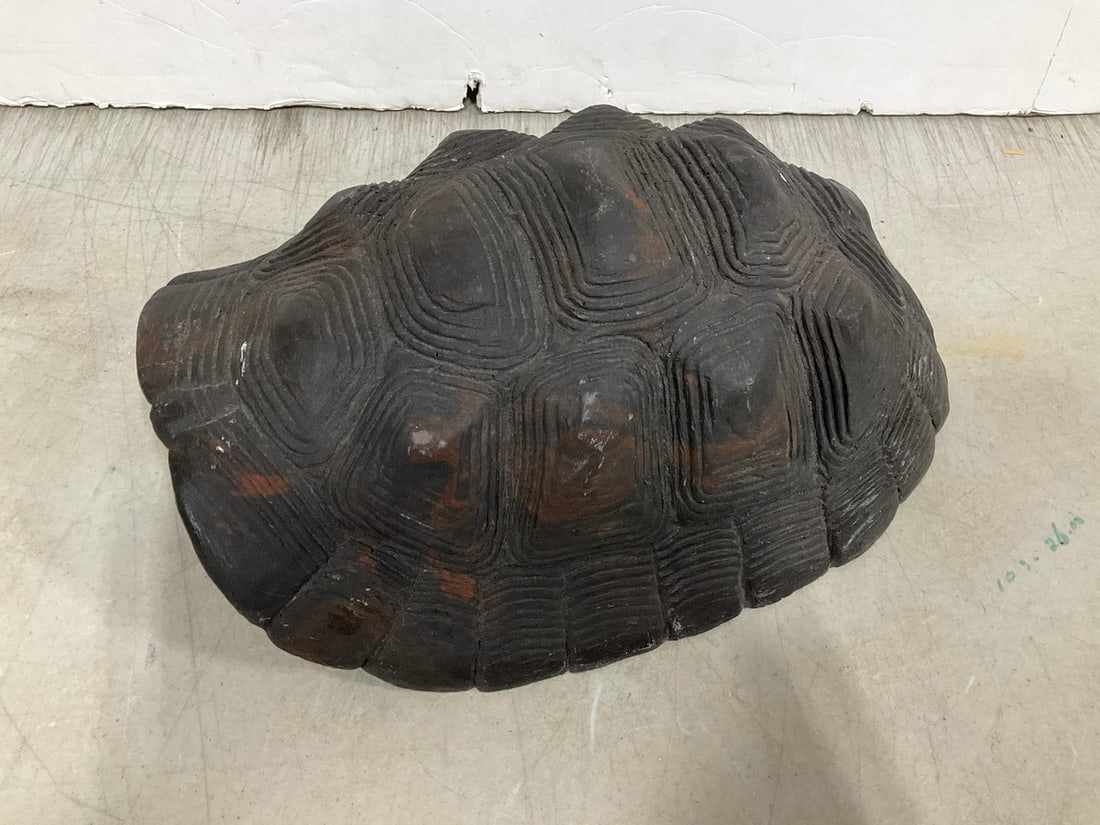Turtle shell decor (1 of 1)