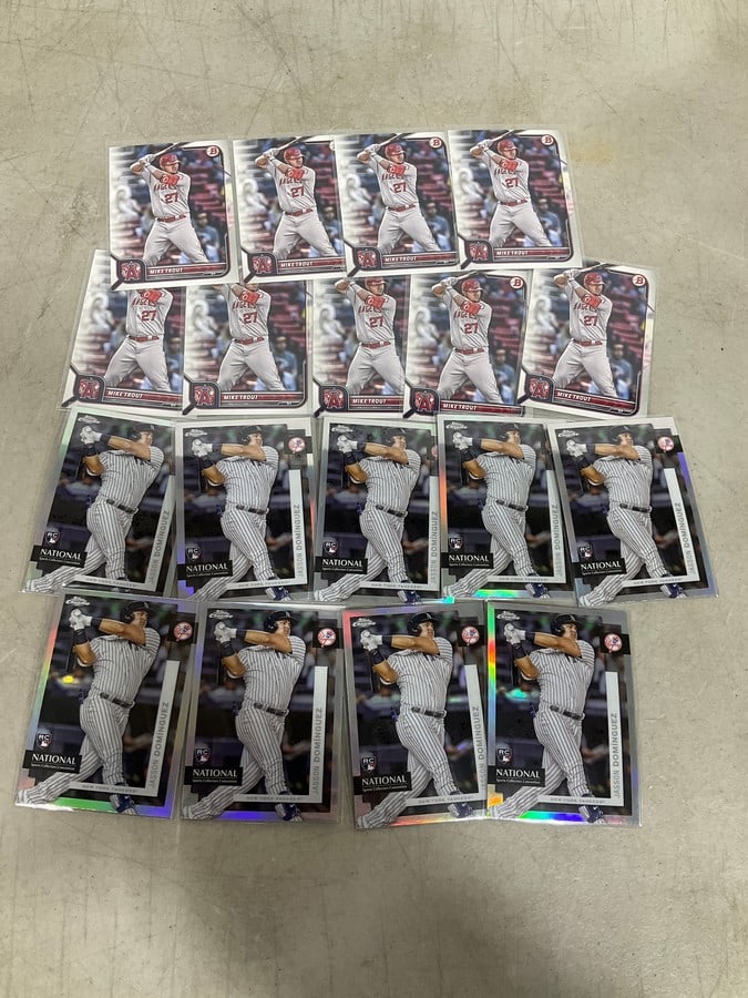 Mike Trout and Jasson Dominguez collectible cards (1 of 1)