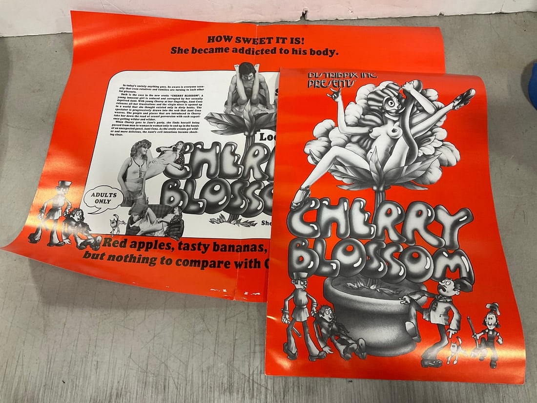 Vintage original XXX 1970's movie poster ads: Vintage original XXX 1970's movie poster ads