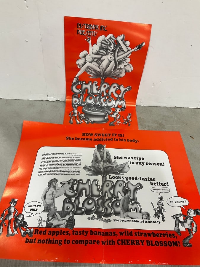 Vintage Original XXX 1970s Movie Promo Brochure Posters (1 of 1)