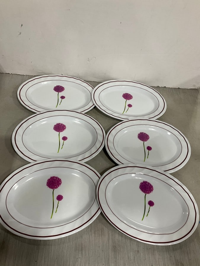 Plastic Oval Serving Dishes (9inx12in)