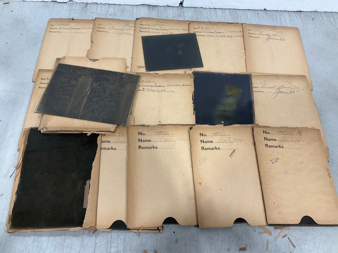 Various Glass Photographic Negatives/Slides: Various Glass Photographic Negatives/Slides