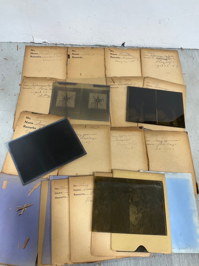 Various Glass Photographic Negatives/Slides: Various Glass Photographic Negatives/Slides