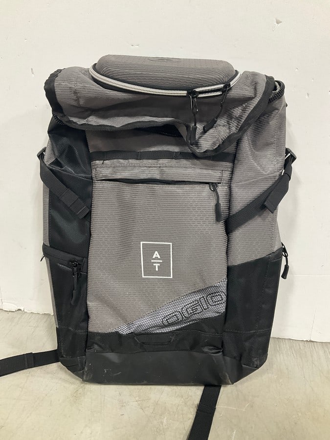 Ogio Travel Backpack: Ogio Travel Backpack