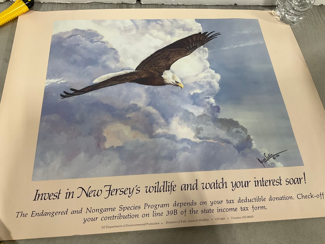 Eagle Art Print (17inx22in): Eagle Art Print (17inx22in)