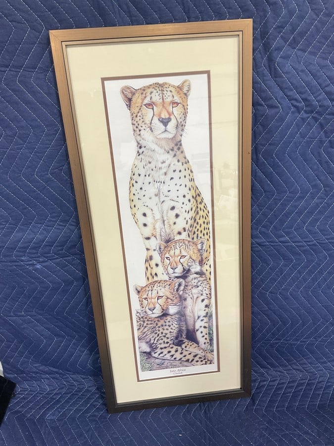 Framed Into Africa Cheetah signed print(14in.x32.5in.): Framed Into Africa Cheetah signed print(14in.x32.5in.)