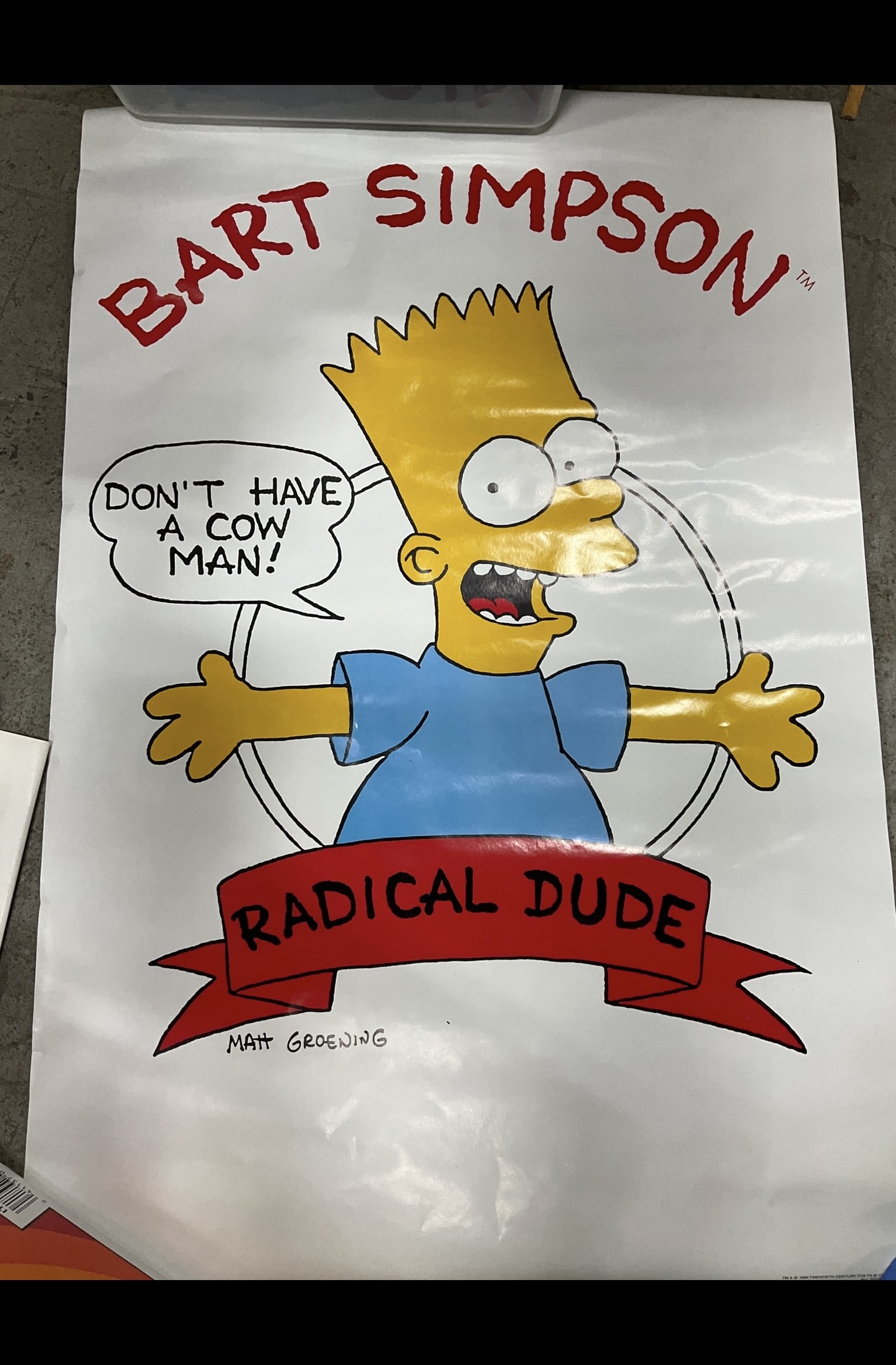 1989 Bart Simpson Poster: 1989 Bart Simpson Poster