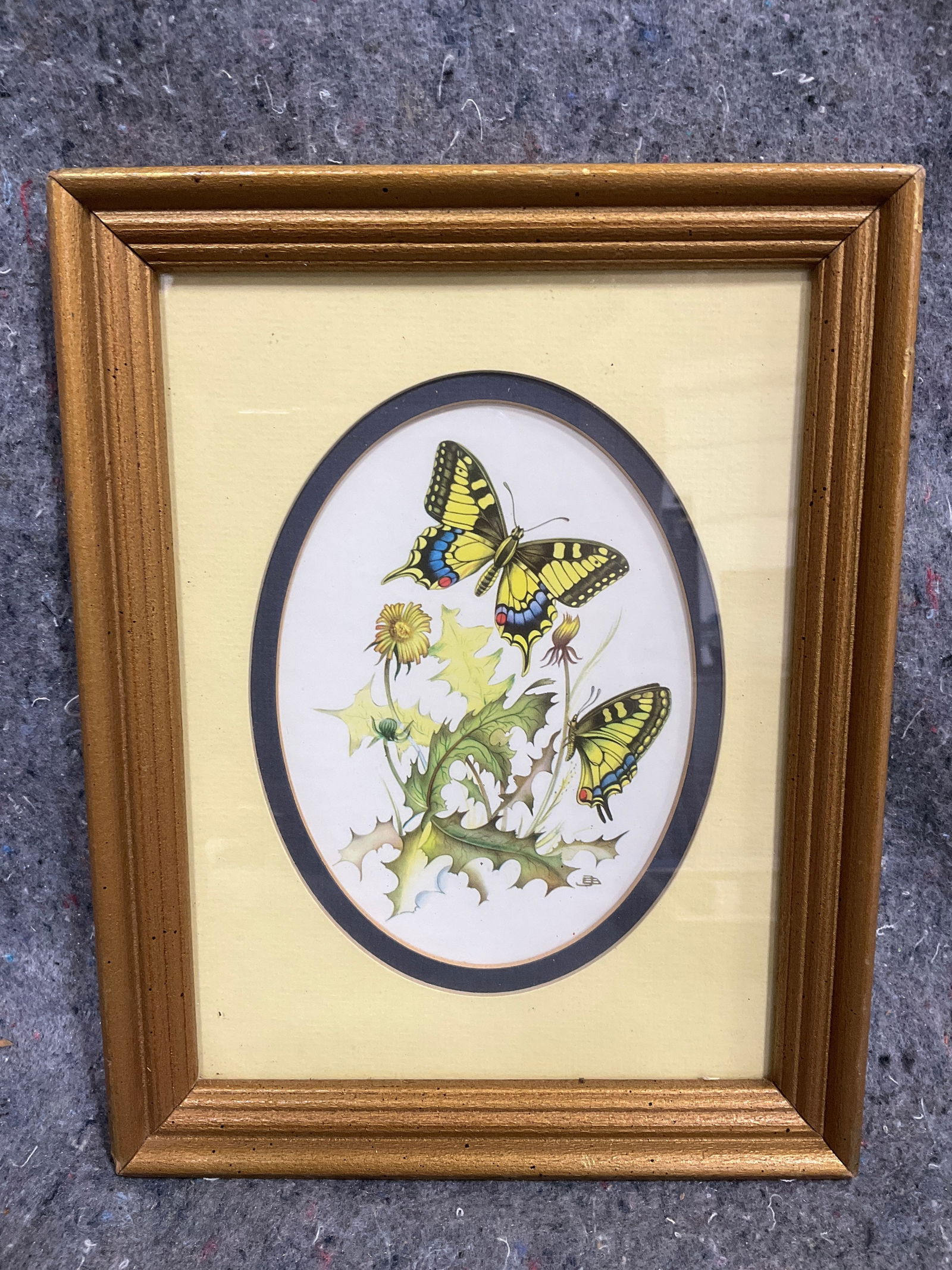 Vintage butterfly print wall decor(7.25inx9in): Vintage butterfly print wall decor(7.25inx9in)