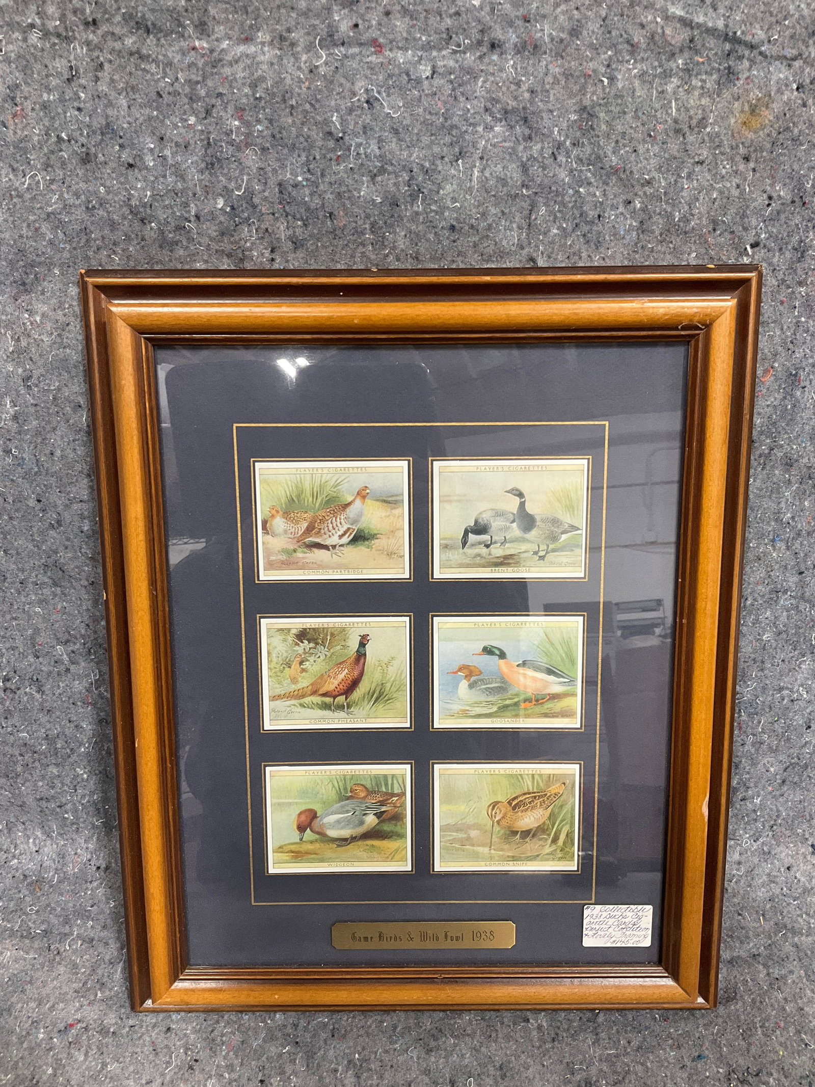 Framed Game Birds and Wild fowl 1938 wall artwork(13.5inx16.5in): Framed Game Birds and Wild fowl 1938 wall artwork(13.5inx16.5in)