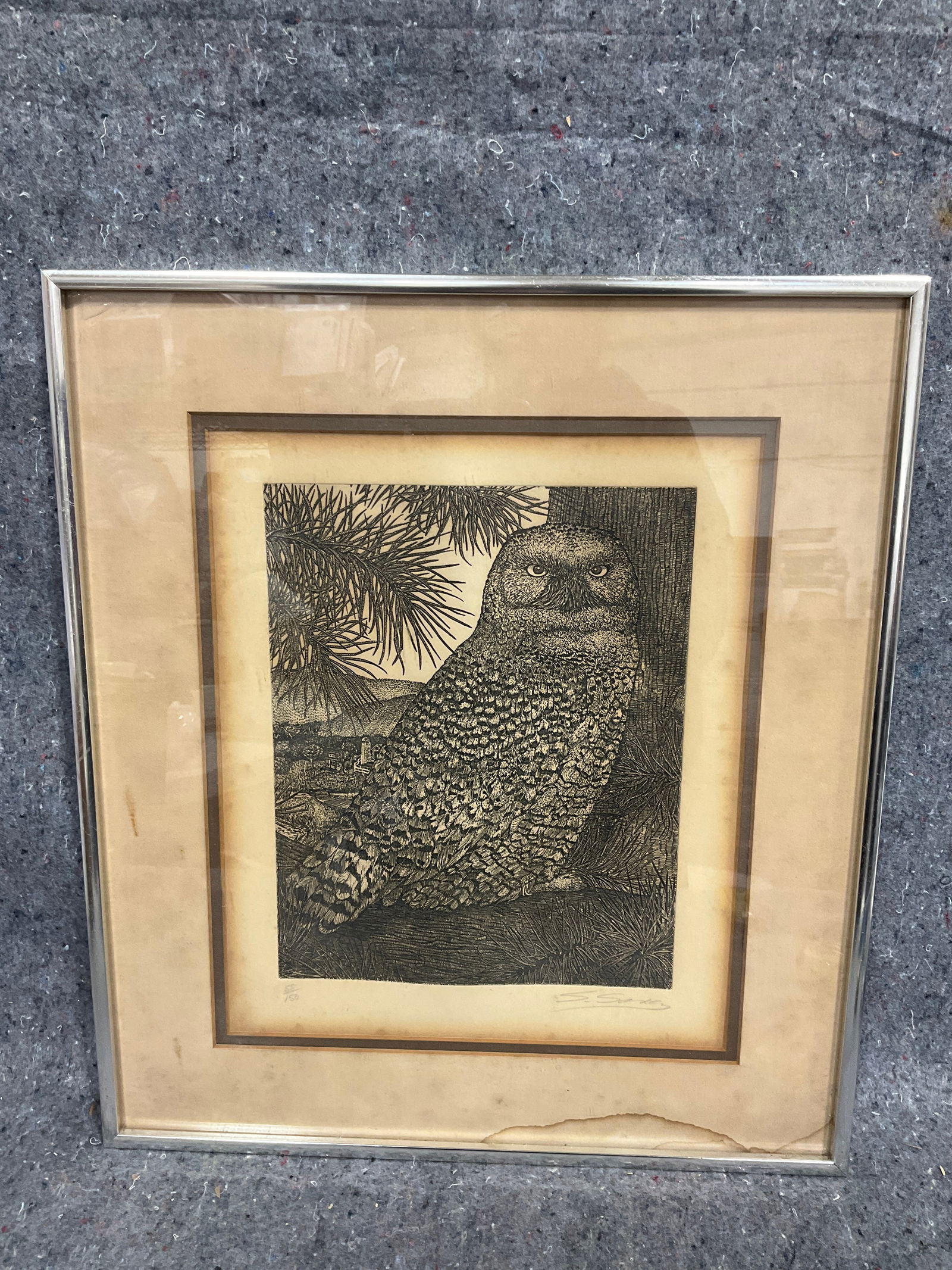 Framed and signed owl etching 58/150(15inx17in): Framed and signed owl etching 58/150(15inx17in)