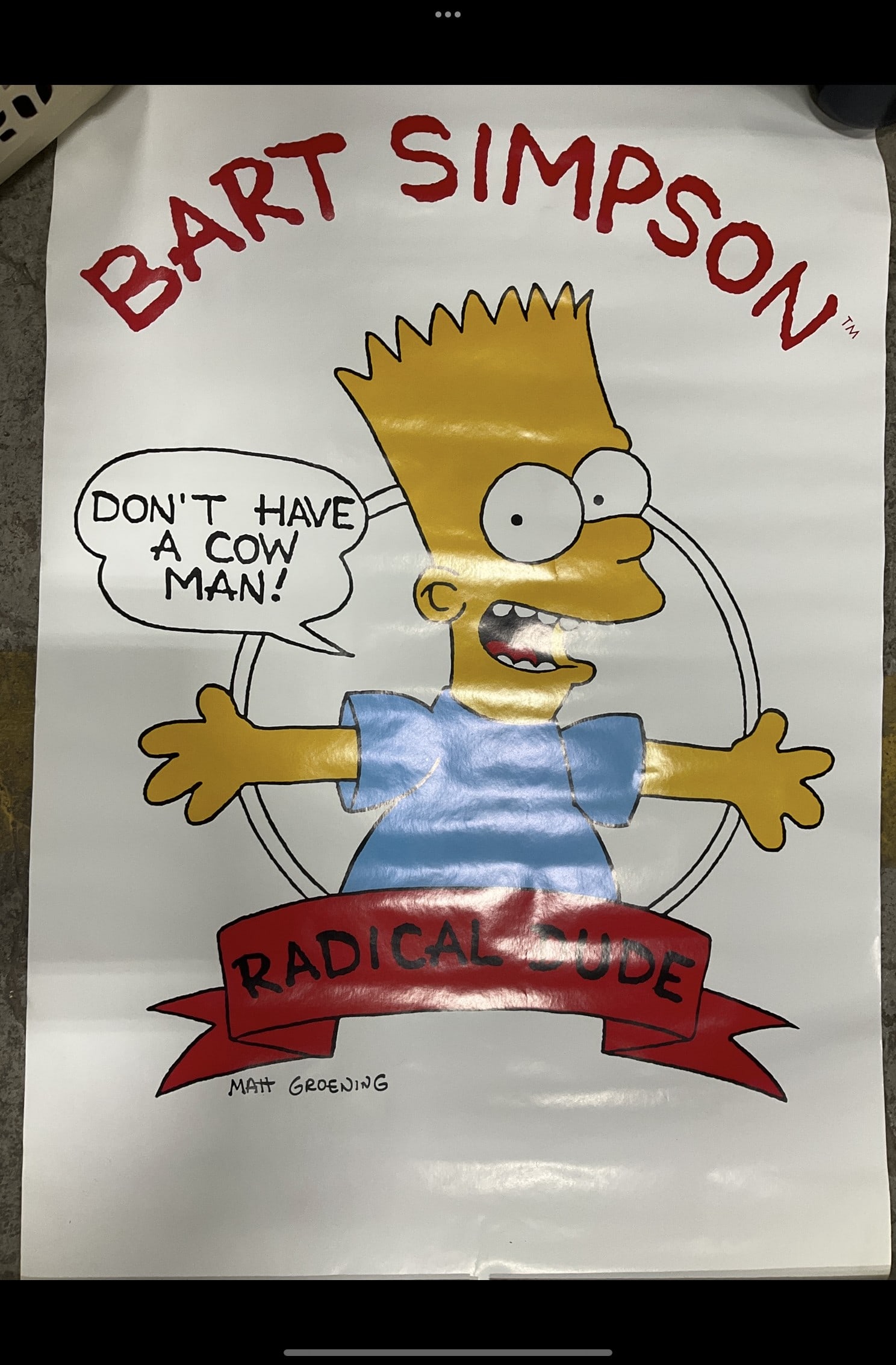 Bart Simpson poster(21inx32in): Bart Simpson poster(21inx32in)