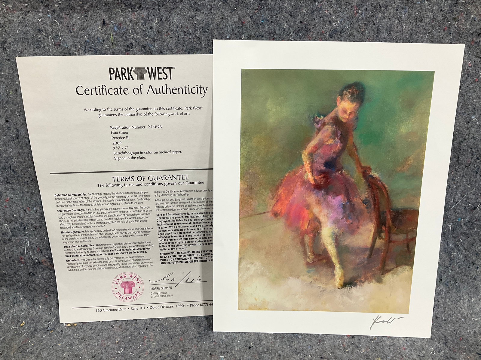 Seriolithograph practice with COA artist Hua Chen(9inx11.5in) (1 of 1)