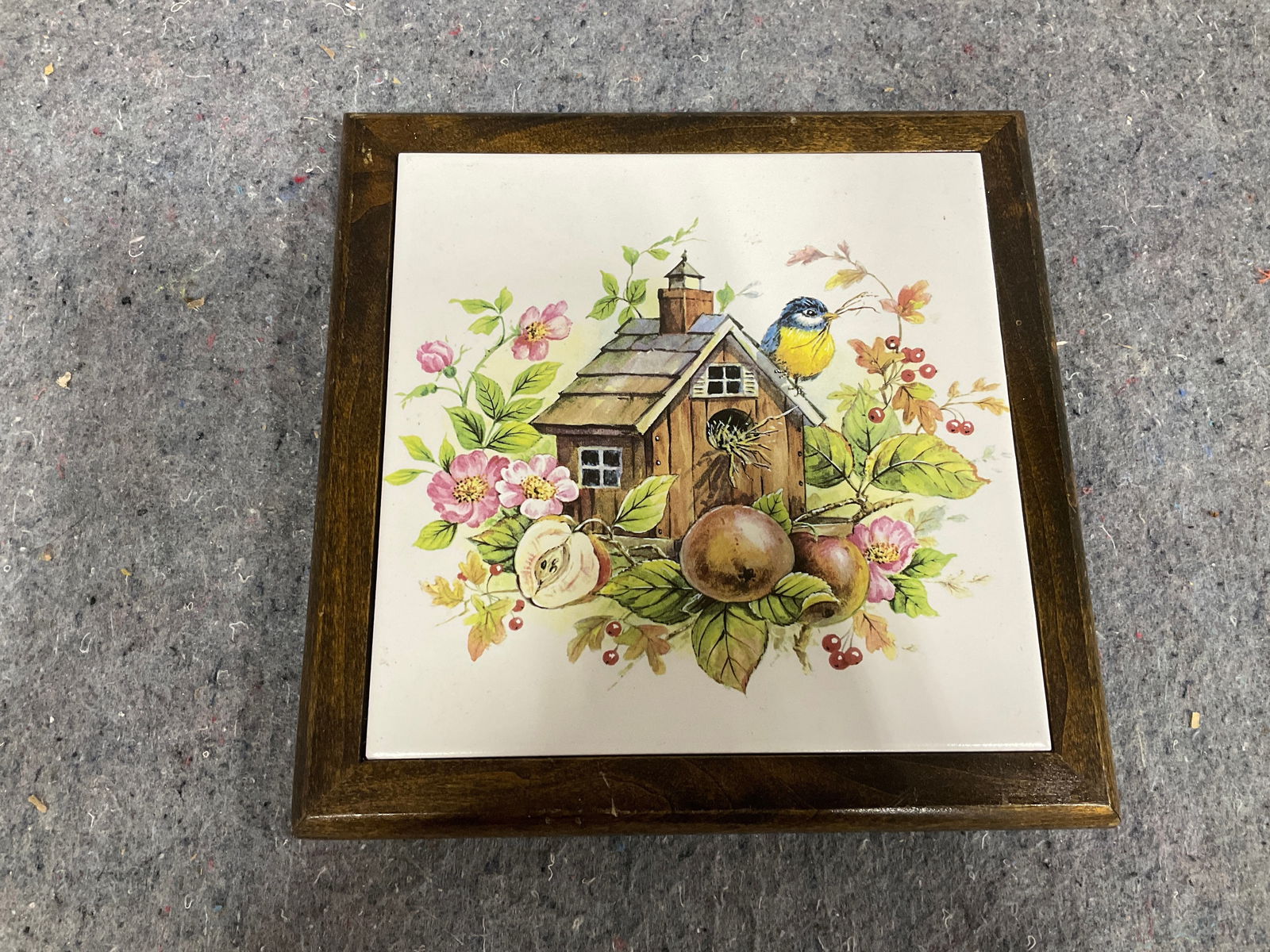 Vintage framed birdhouse print(9.5inx9.5in): Vintage framed birdhouse print(9.5inx9.5in)