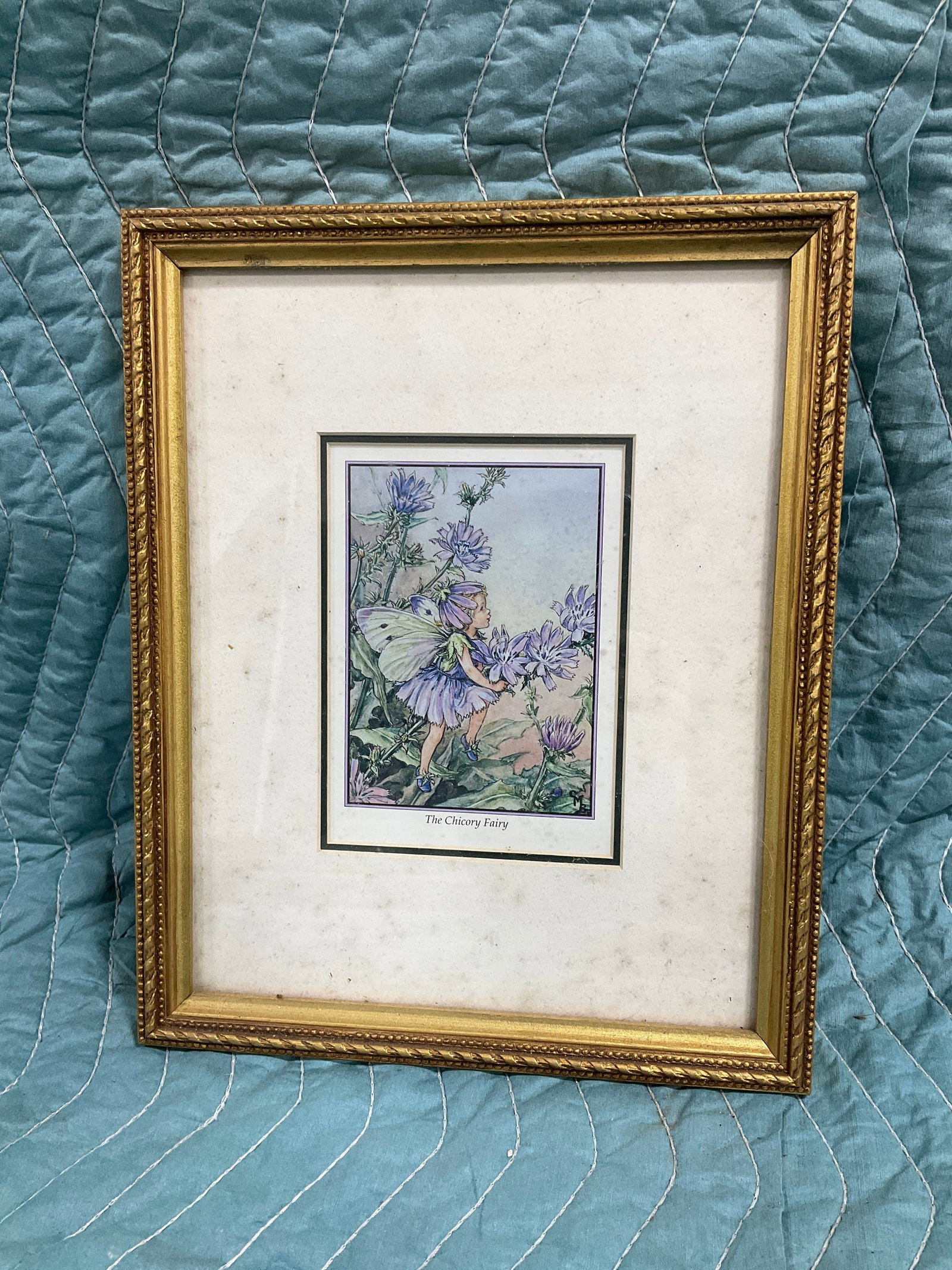 The Chicory Fairy framed print(9inx11in) (1 of 1)