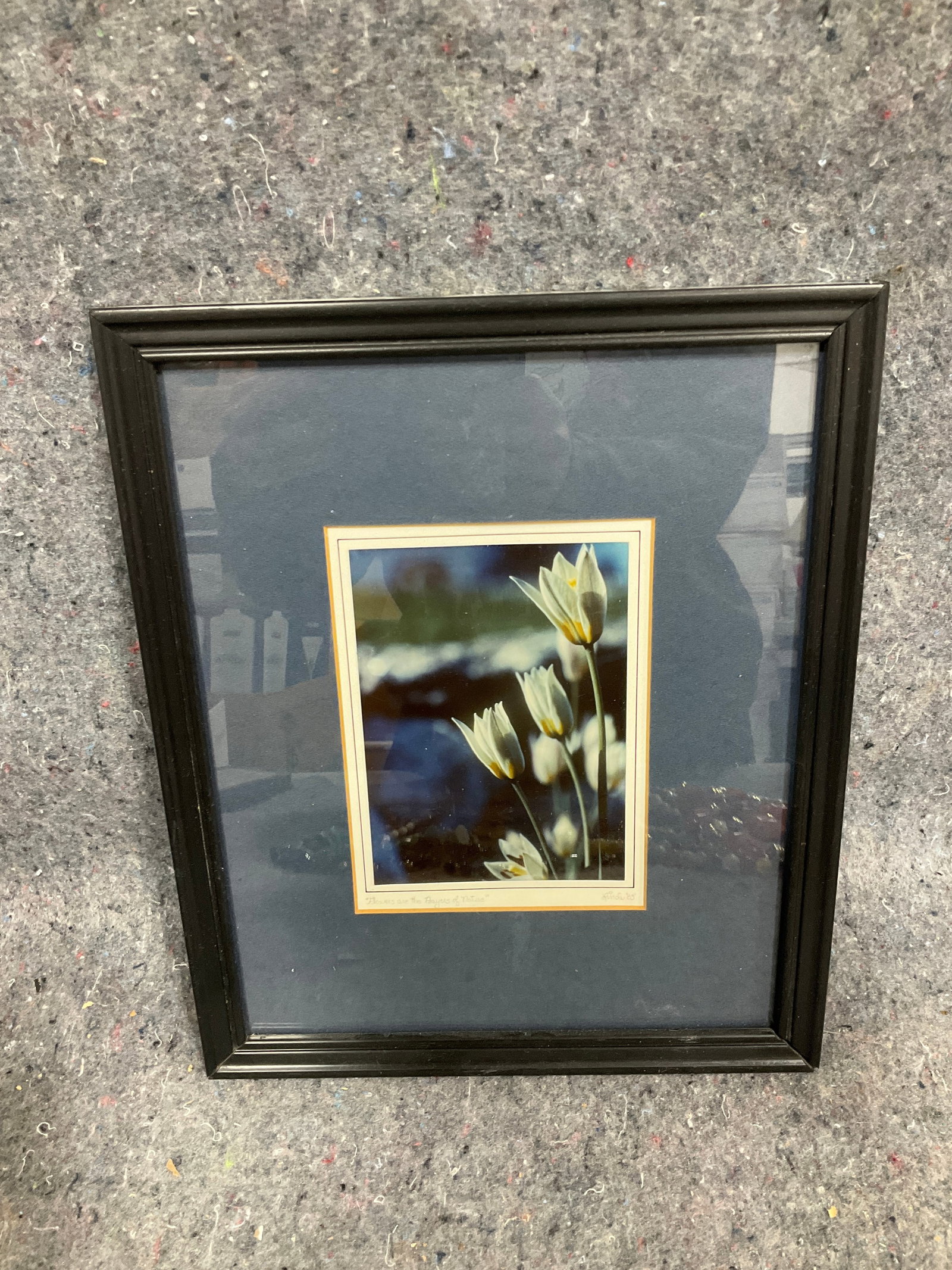 1985 Flowers are the Prayers of Nature framed print signed Linda(9inx11in): 1985 Flowers are the Prayers of Nature framed print signed Linda(9inx11in)