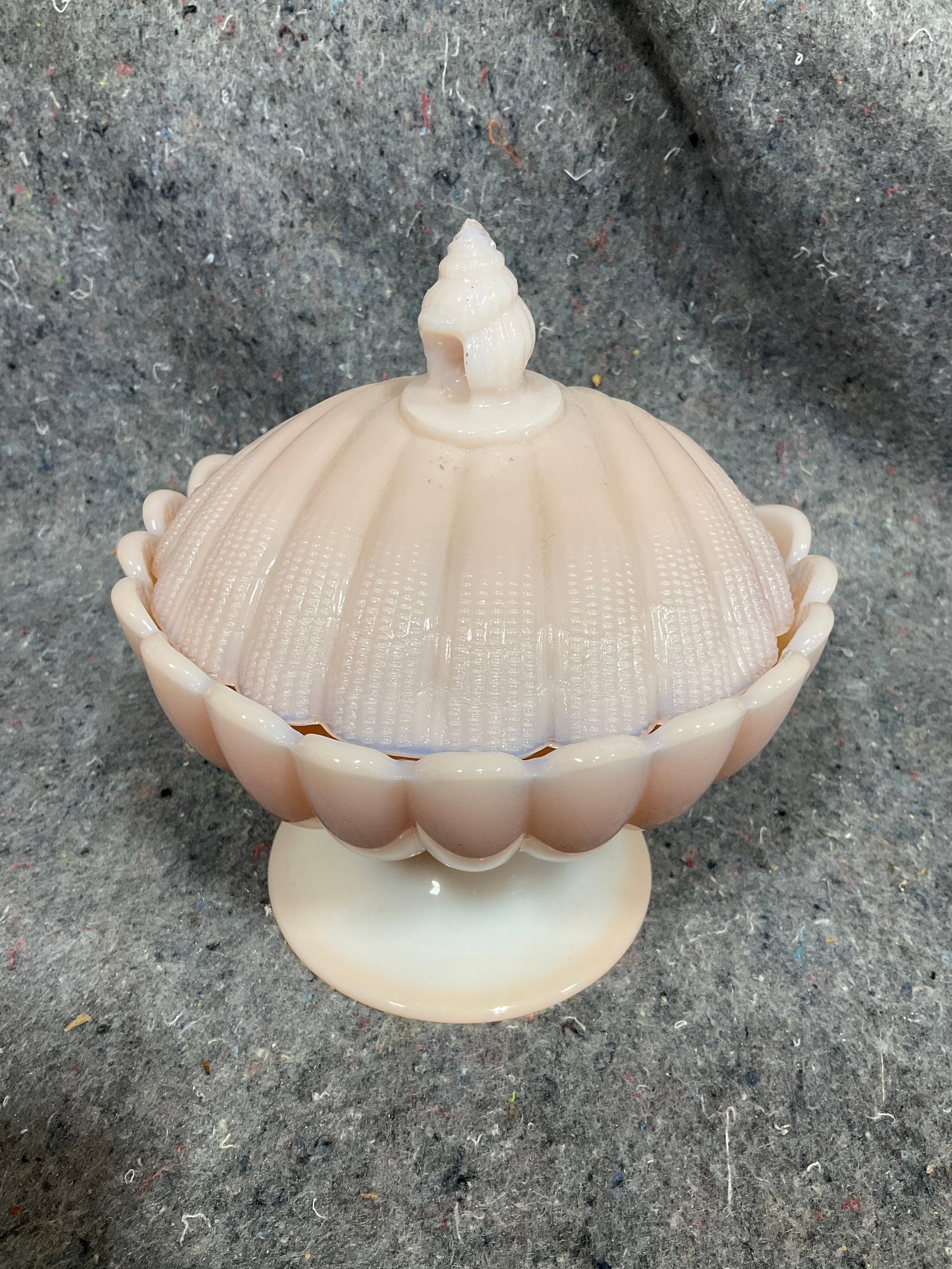 Cambridge Glass Sea Shell Lidded Candy Dish (7in Tall) (1 of 1)