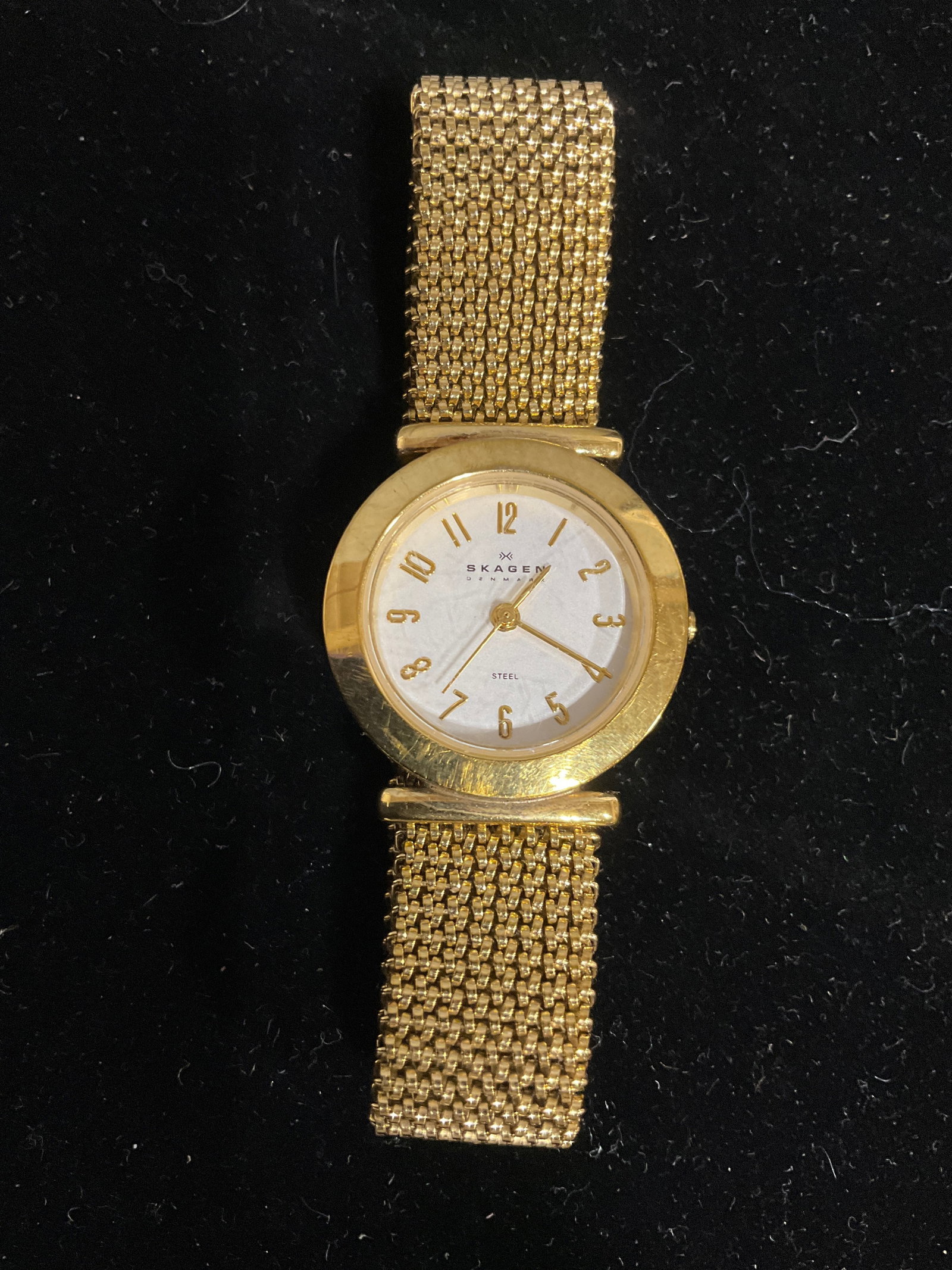 Skagen Watch (1 of 1)