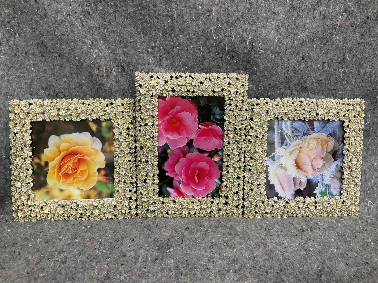 Olivia Riegel dogwood picture frames with prints(largest 5.5inx7.5in) (1 of 1)