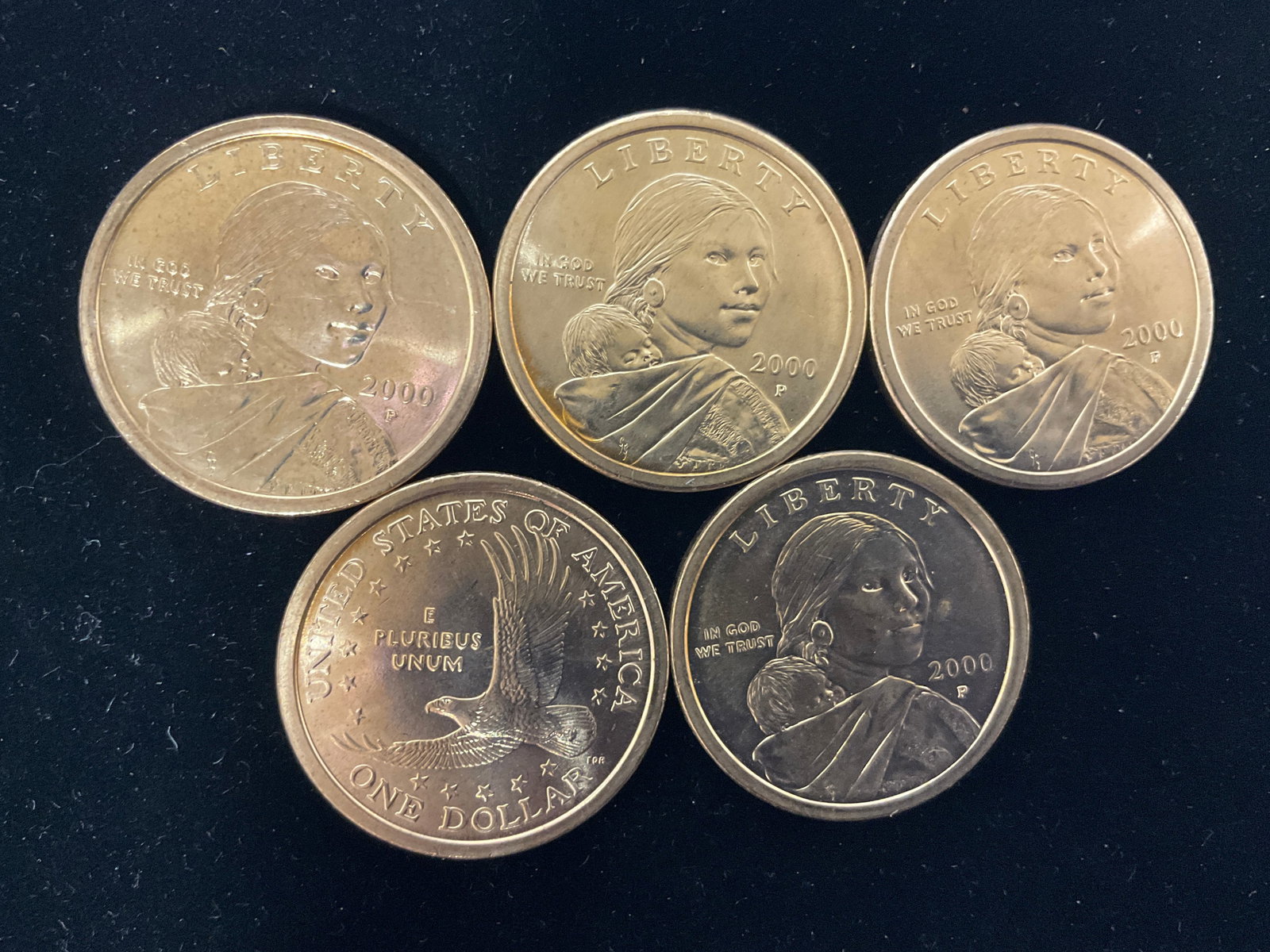 1 Dollar Coins (year 2000) (1 of 1)