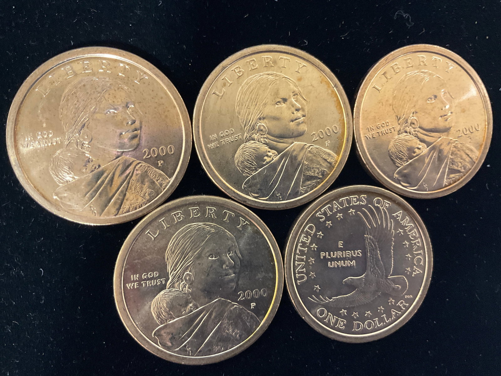 1 Dollar Coins (year 2000) (1 of 1)