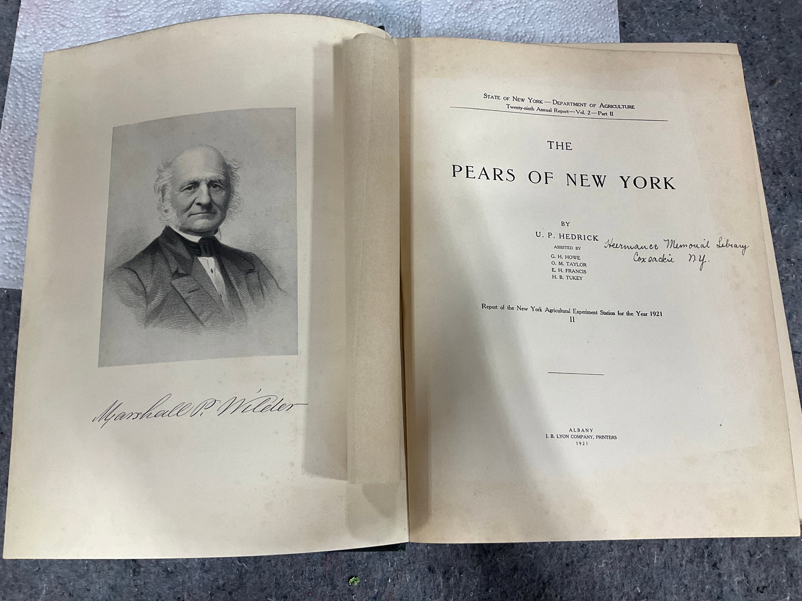 The Pears of New York vintage hardcover book: The Pears of New York vintage hardcover book