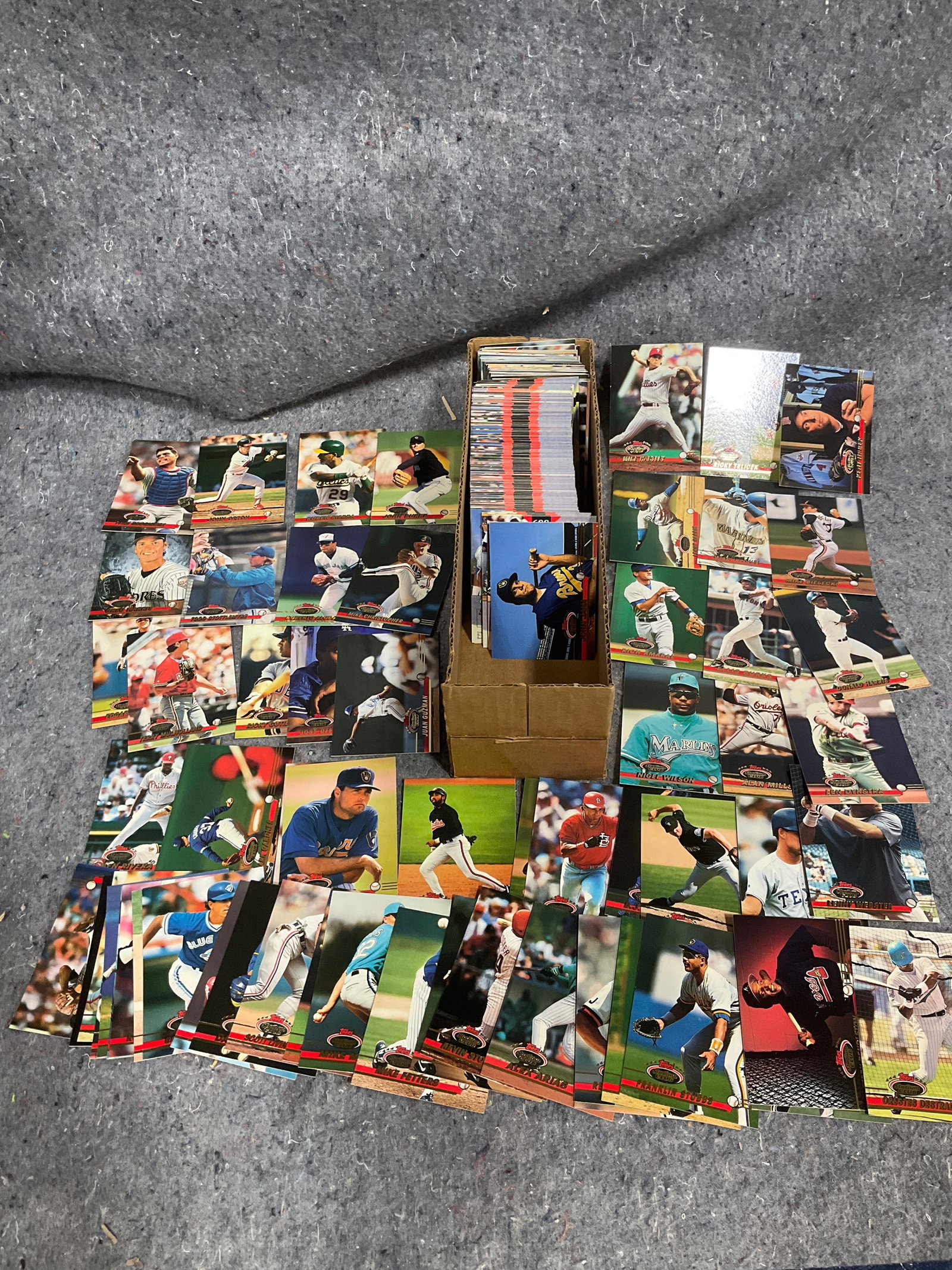 1993 Topps collectible baseball cards (1 of 1)