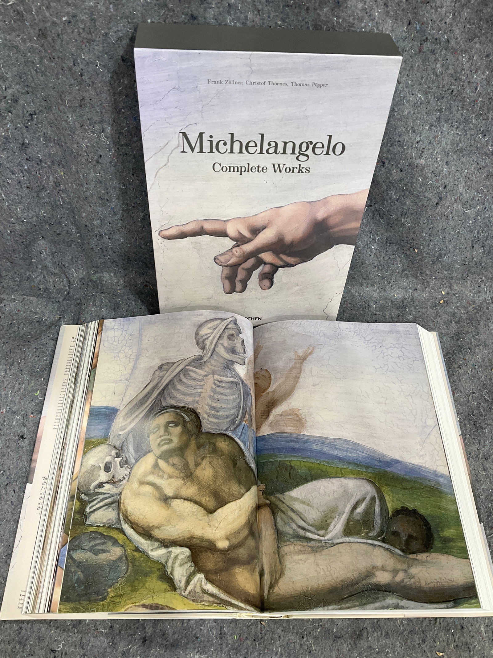 Michelangelo Complete Works Art Book (1 of 1)