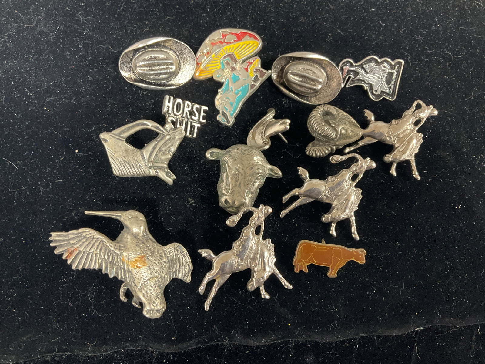 Vintage Western Pins (1 of 1)