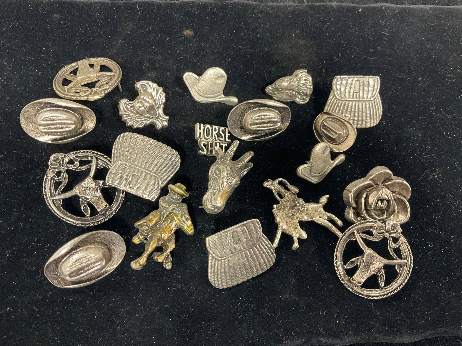 Vintage Western Pins (1 of 1)