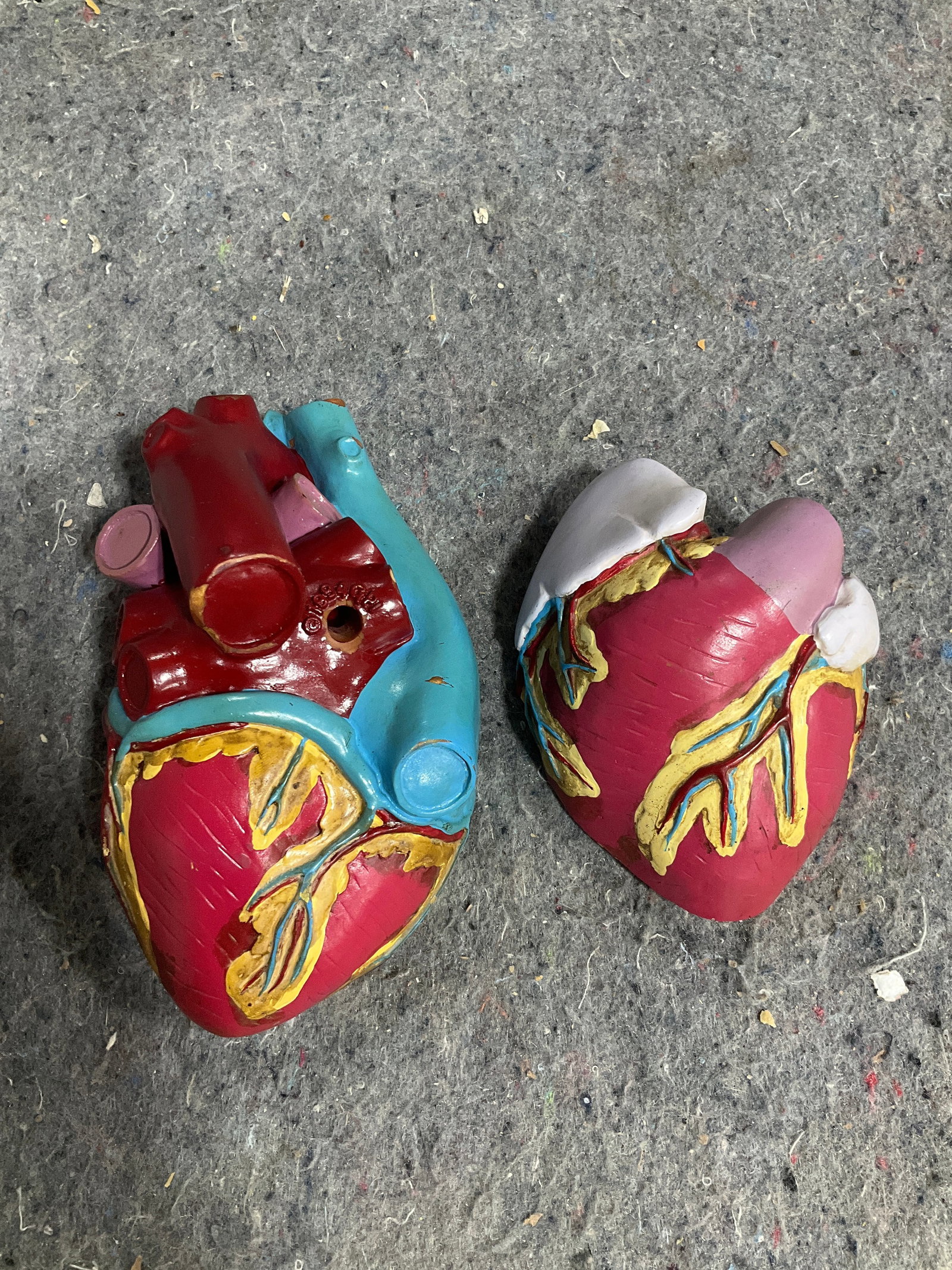 1994 GP anitomical heart model (1 of 1)